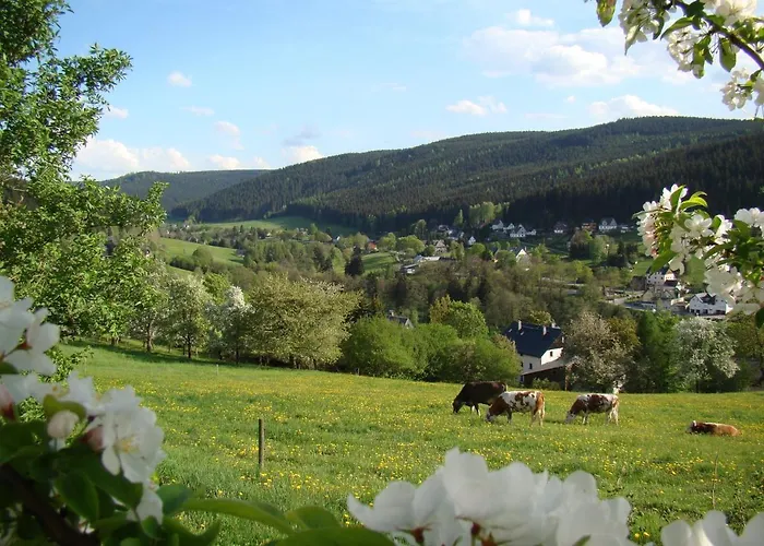 Appartement Lang Breitenbrunn (Saxony)