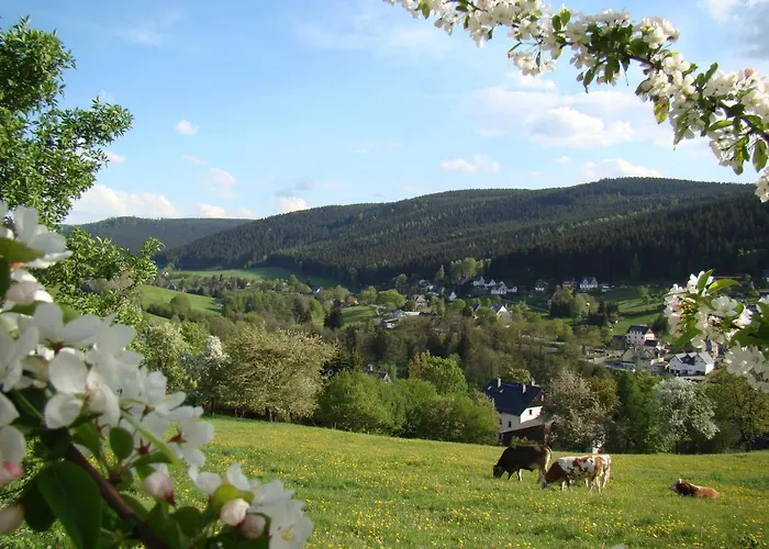 Lang Breitenbrunn (Saxony)